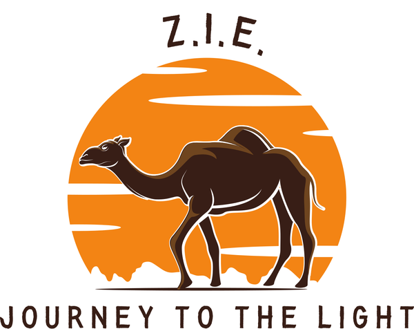 Z.I.E. Solutions LLC
